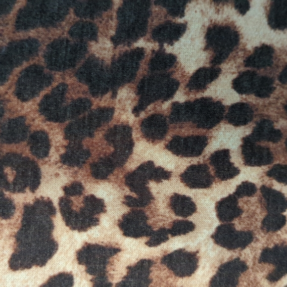 Cute V. En Style top. Leopard print, sequins and Pink with slight ruffle sleeve - Picture 2 of 7